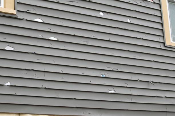 Reliable Ingleside, TX Siding Solutions